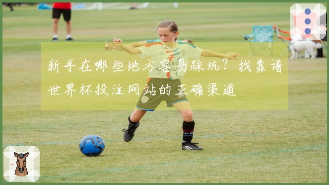 新手在哪些地方容易踩坑？找靠谱世界杯投注网站的正确渠道