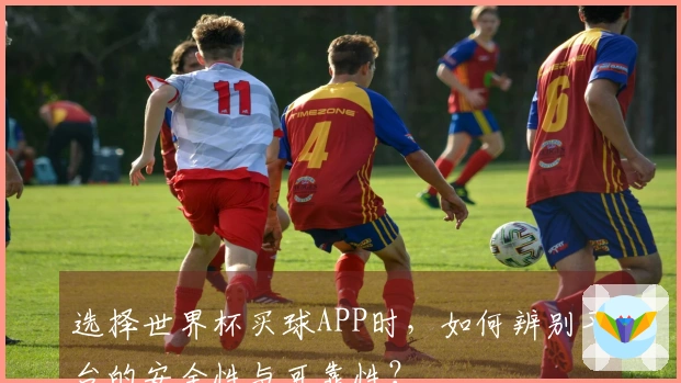 选择世界杯买球APP时，如何辨别平台的安全性与可靠性？
