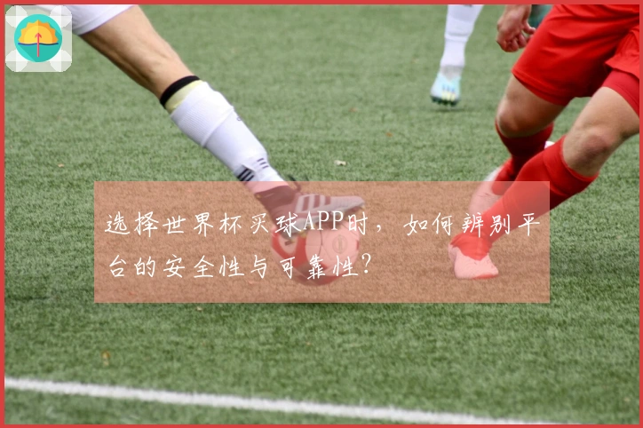 选择世界杯买球APP时，如何辨别平台的安全性与可靠性？