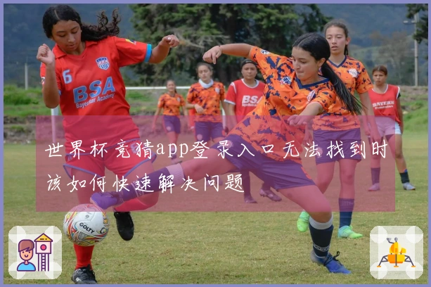 世界杯竞猜app登录入口无法找到时该如何快速解决问题