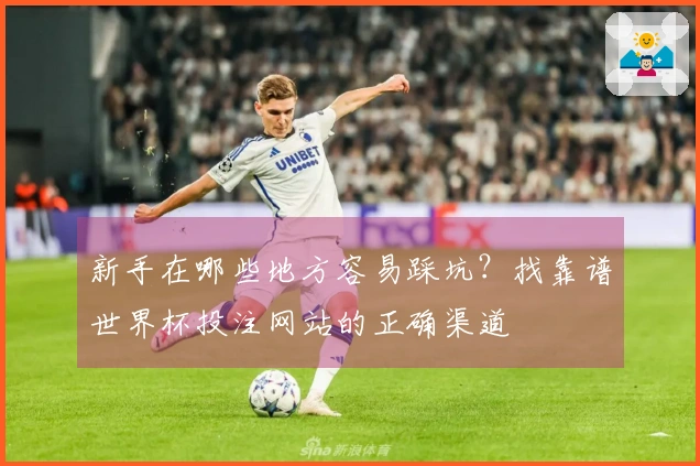 新手在哪些地方容易踩坑？找靠谱世界杯投注网站的正确渠道